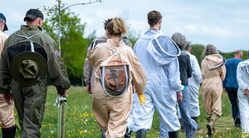 Beekeeper in full suit at Beeble's Wiltshire apiary
