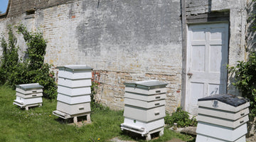 Bee-sponsibilities: The machine behind the magic.