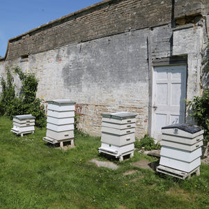 Bee-sponsibilities: The machine behind the magic.