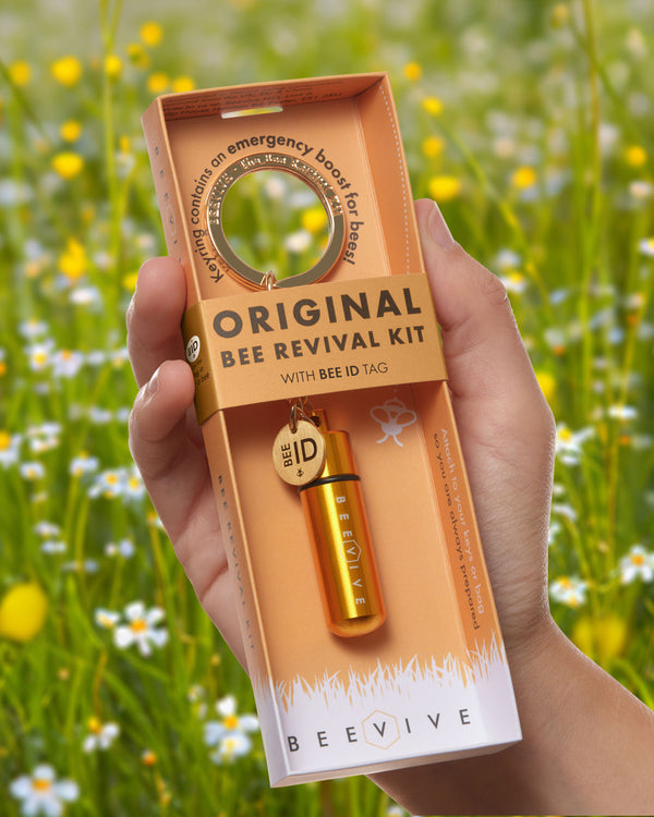 Bee Revival Kit