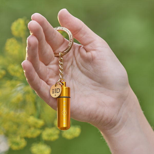 Bee Revival Kit