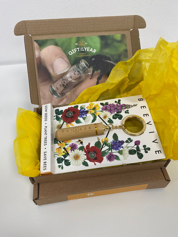 Bee Revival Kit